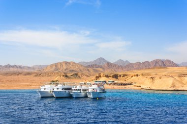 Red Sea'deki/daki Lüks Yatlar