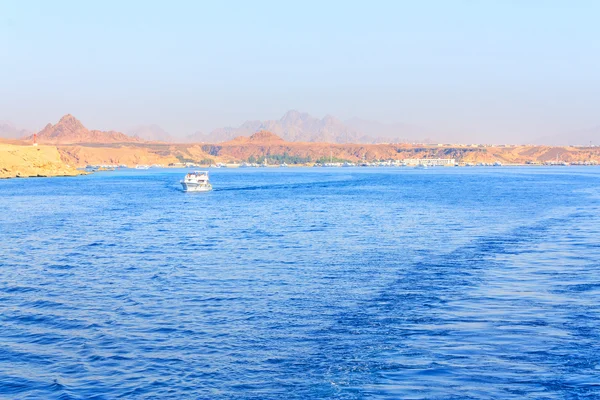Mar Rosso in Egitto paesaggio marino — Foto Stock
