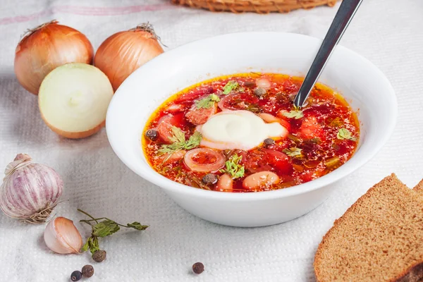 Russian national soup closeup — Stock Photo, Image