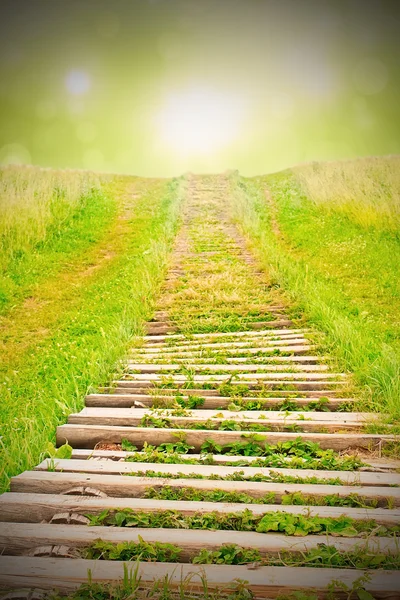 Skeç ile cennete merdiven — Stok fotoğraf