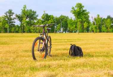 dağ bisikleti ve sırt çantasında bir çayır