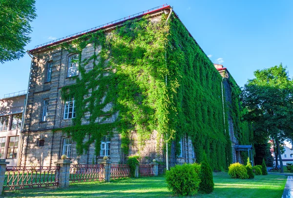 Université d'État de Grodno — Photo