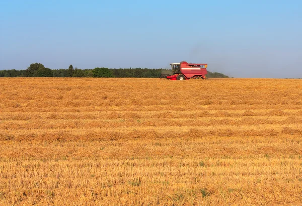 Weizenernte im August — Stockfoto