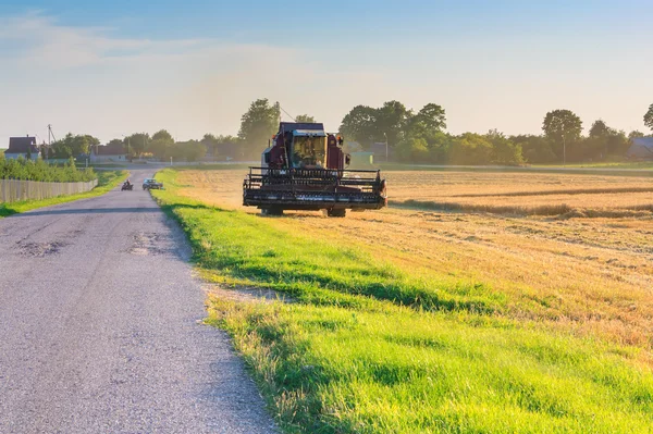 Traktor erntet Weizen — Stockfoto