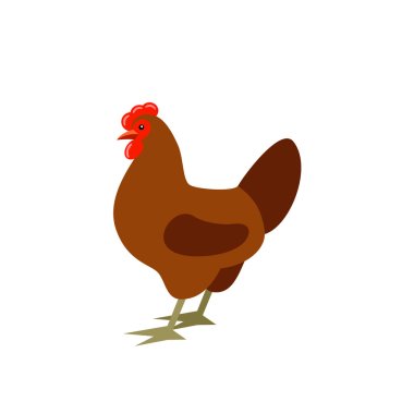 Cartoon chicken. Farmer isolated bird clipart