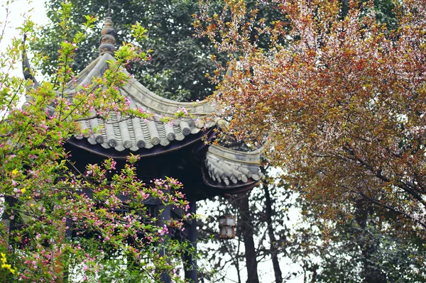 Pavilion and flower in a garden — Stock Photo, Image