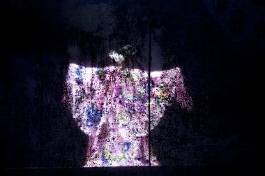 oldukça Çince Geleneksel opera oyuncu tiyatro kostüm