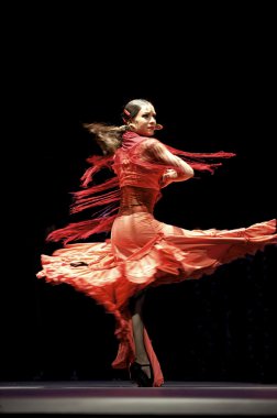Flamenko dansçısı