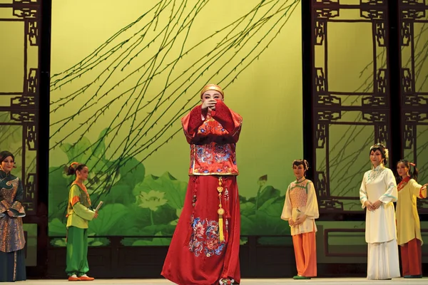 Çin yue opera sanatçısı