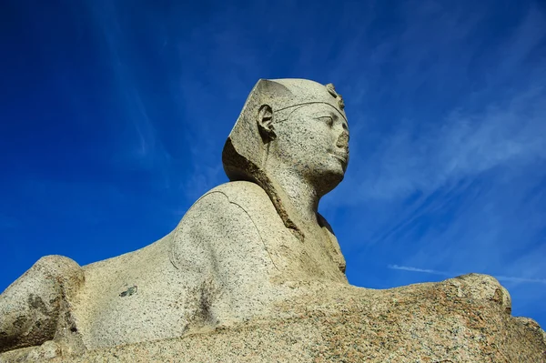 Sphinx van Pompeius is het gebied van de pijler in Alexandrië — Stockfoto