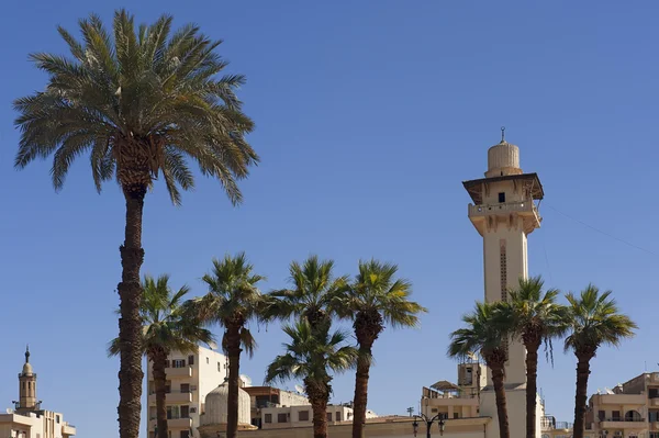 Date palm tree and minaret — Stock Photo, Image