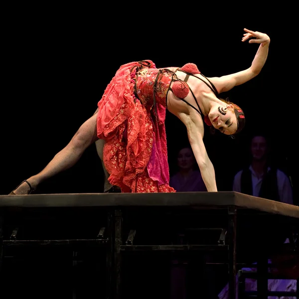 The Flamenco Dancer — Stock Photo, Image