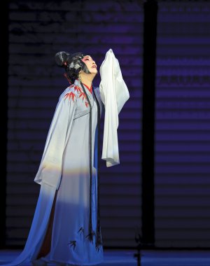 oldukça Çince Geleneksel opera oyuncu tiyatro kostüm