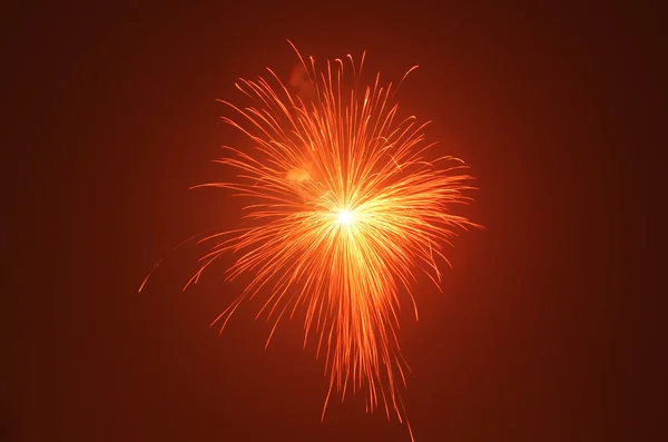 Fogos de artifício festivos brilhantemente coloridos — Fotografia de Stock