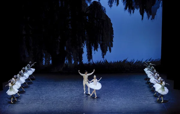 Bailarines de ballet bonitos —  Fotos de Stock