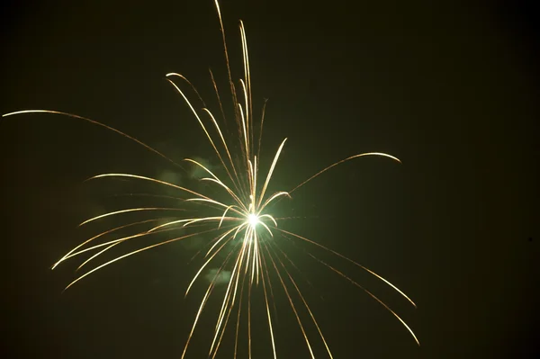 Helder kleurrijke feestelijke vuurwerk — Stockfoto