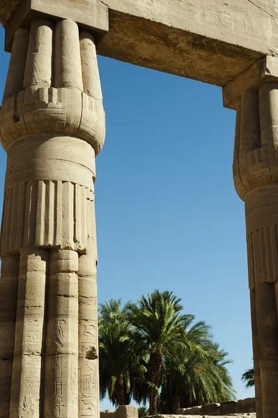 Grand kolumner av Luxortemplet i Luxor, Egypten — Stockfoto