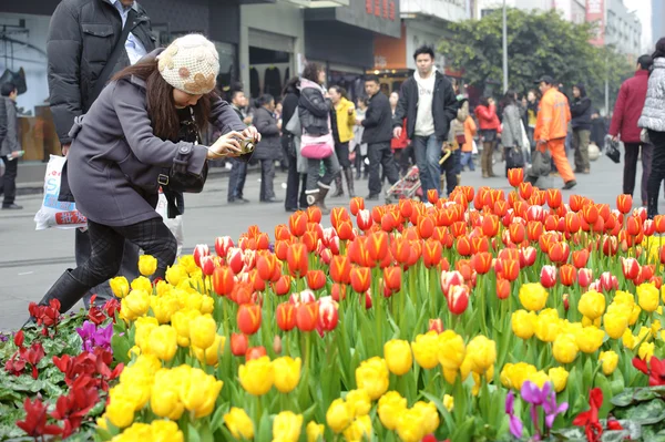 A girl is shooting photos of tulips — Stock Photo, Image