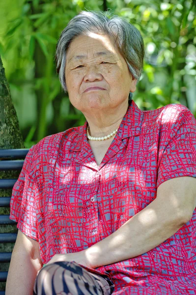 Retrato de uma avó — Fotografia de Stock