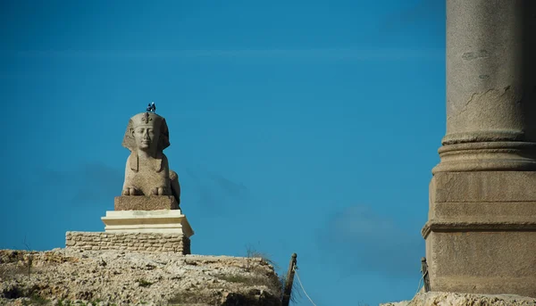 Sphinx of Pompey's Pillar area in Alexandria — Stock Photo, Image