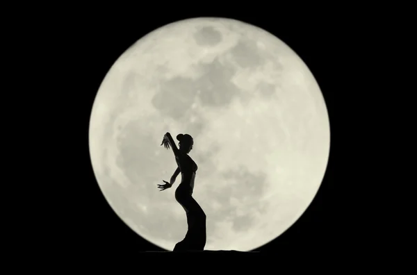 Graziosa silhouette ballerina — Foto Stock