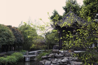 Çin tarzı Bahçe