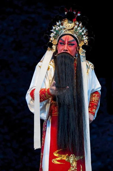 Acteur d'opéra traditionnel chinois avec costume théâtral Image En Vente