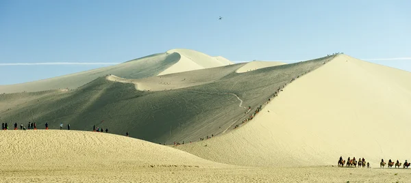 Las dunas del desierto —  Fotos de Stock