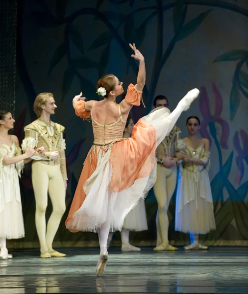 Pretty ballet dancer — Stock Photo, Image