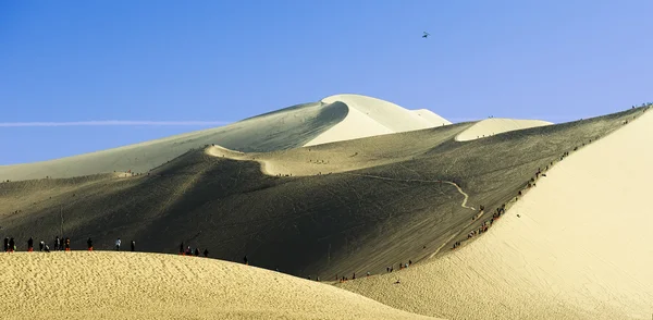 The sand dunes on desert — Stock Photo, Image