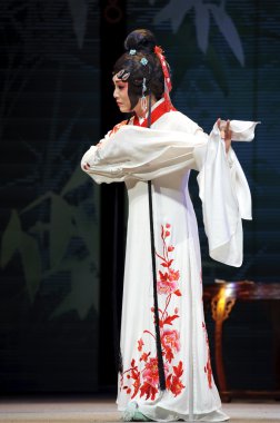 oldukça Çince Geleneksel opera oyuncu tiyatro kostüm