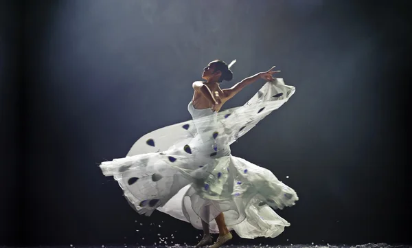 Kinesiska berömda dansare yang liping — Stockfoto