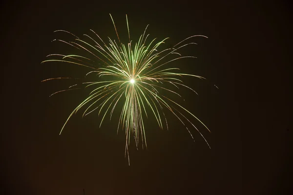 Ragyogóan színes ünnepi tűzijáték — Stock Fotó