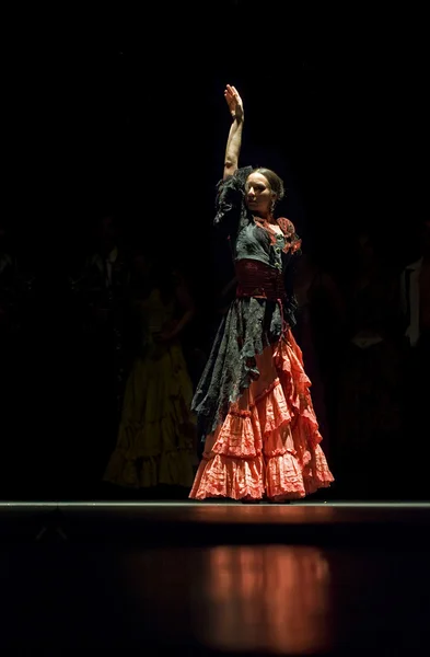 Tanečník flamenca — Stock fotografie