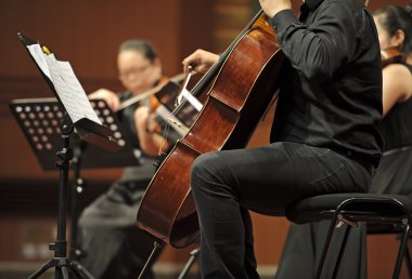 violoncellist üzerinde oda müziği konseri