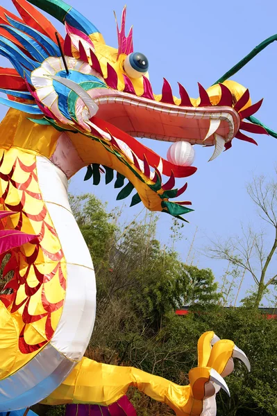Çince geleneksel renkli ejderha fener sho — Stok fotoğraf