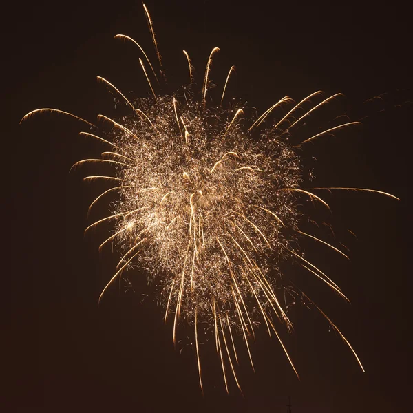 Fuochi d'artificio festivi brillantemente colorati — Foto Stock