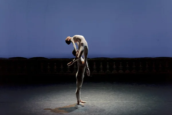 漂亮的芭蕾舞演员 免版税图库图片