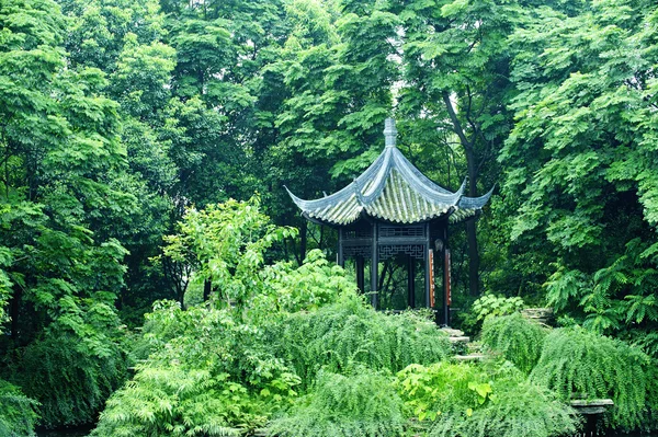 Paviljoen in het dichte bos — Stockfoto