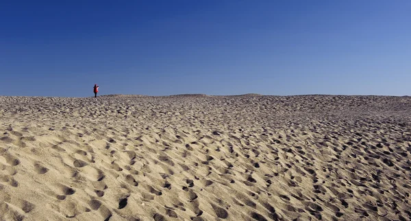 Breed woestijn onder de blauwe hemel — Stockfoto