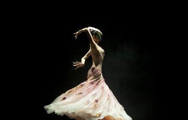 Çin ünlü dansçı yang liping