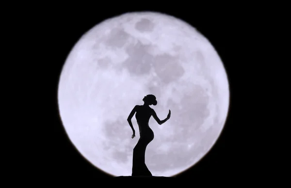 Graceful dancer silhouette Royalty Free Stock Images