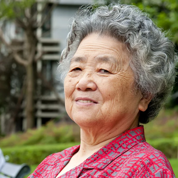Portrét šťastná babička — Stock fotografie