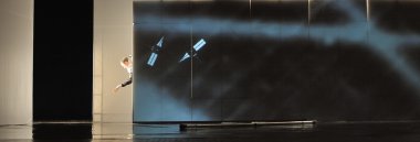 frence modern dansçı