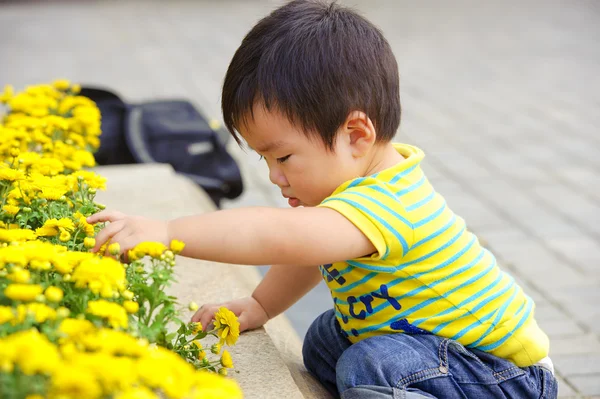 Um bebê bonito está brincando no jardim — Fotografia de Stock