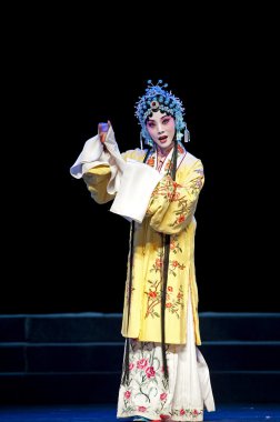 oldukça Çince Geleneksel opera oyuncu tiyatro kostüm