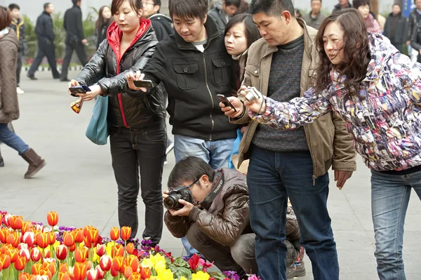 La gente estaba tomando fotos de tulipanes — Foto de Stock