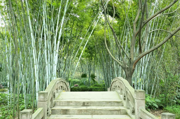I boschetti di bambù e il piccolo ponte — Foto Stock