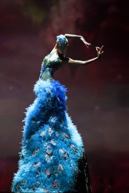 Çin ünlü dansçı yang liping