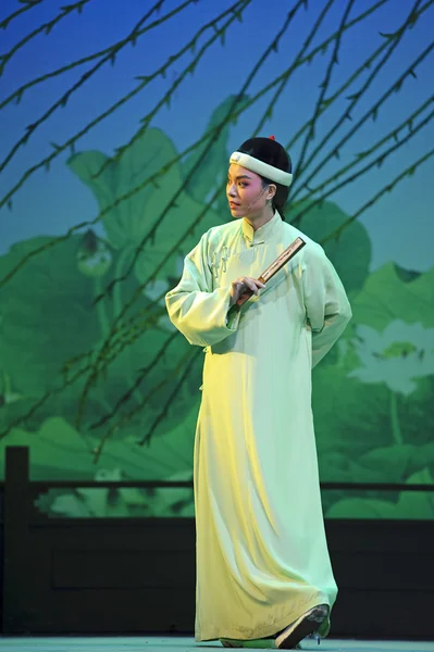 Bastante chinesa tradicional atriz de ópera com traje teatral — Fotografia de Stock
